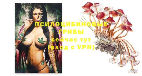 кокаин премиум Михайловка