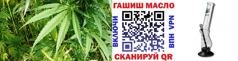 Купить где  Кинешма  ТГК вейп 