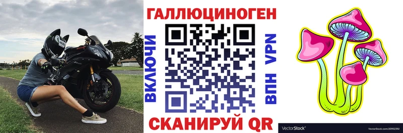 Псилоцибиновые грибы Magic Shrooms  Купить  Кинешма 