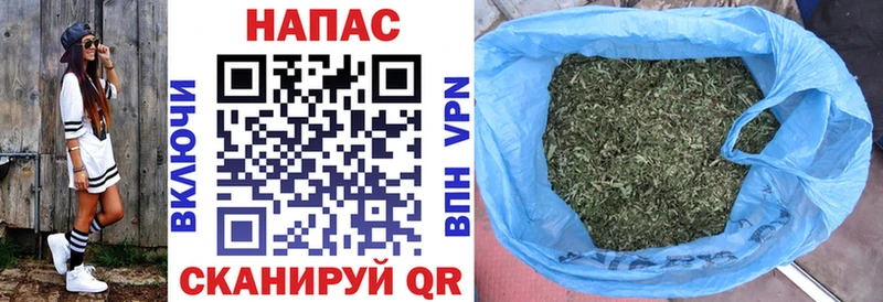 Купить  Кинешма  Бошки марихуана SATIVA & INDICA 